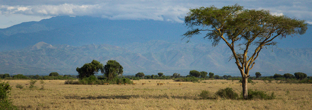 Queen Elizabeth National Park